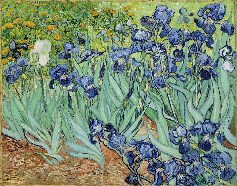 Vincent Van Gogh Irises China oil painting art